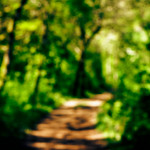 image: Image from the photoset ‘
wood (xlvii)
’.