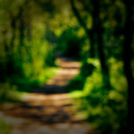 image: Image from the photoset ‘
wood (xlvii)
’.