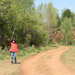 image: Image from the photoset ‘
schëfflenger bierg (ii)
’.