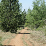 image: Image from the photoset ‘
schëfflenger bierg (ii)
’.