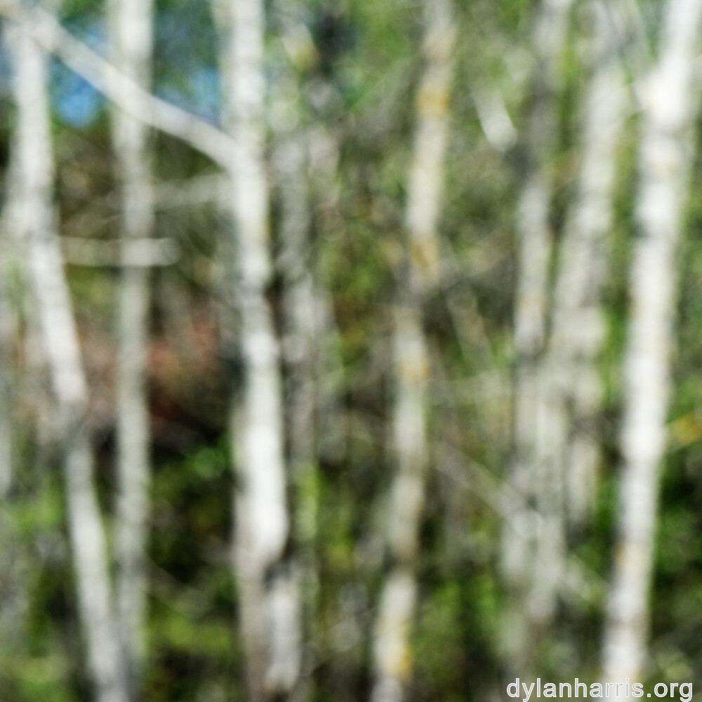 image: This is ‘
schëfflenger bierg (iii) 1
’.