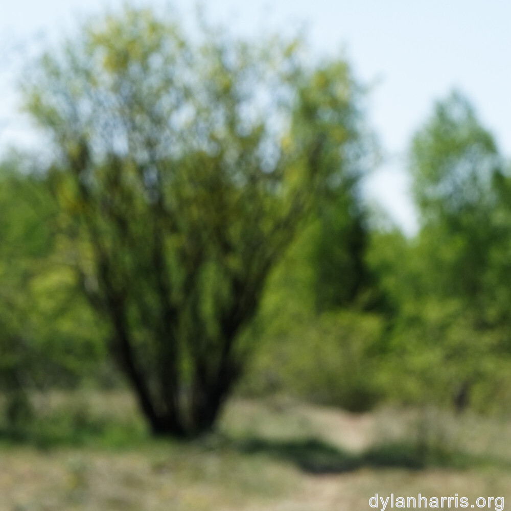 image: This is ‘
schëfflenger bierg (iii) 3
’.