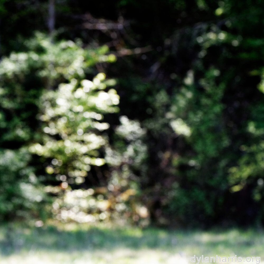 image: This is ‘
schëfflenger bierg (iii) 4
’.