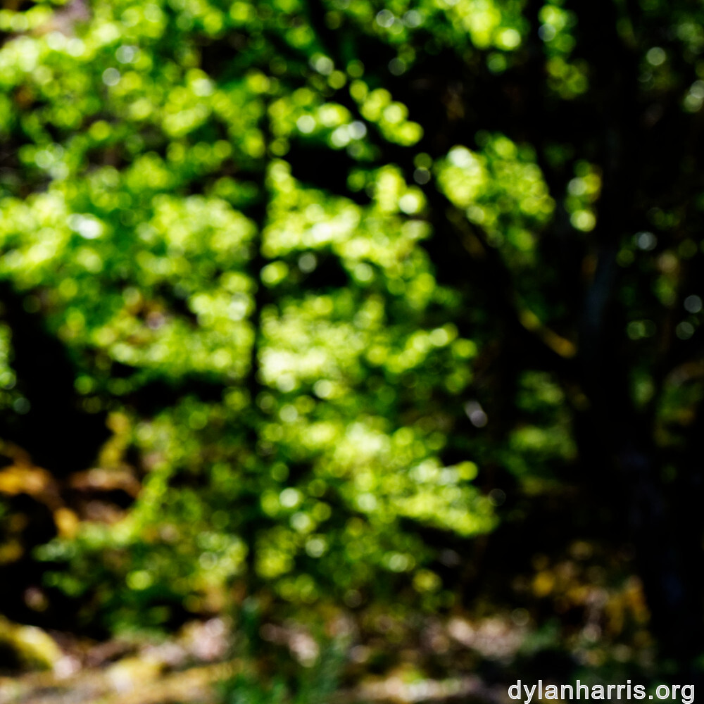 image: This is ‘
schëfflenger bierg (iii) 5
’.