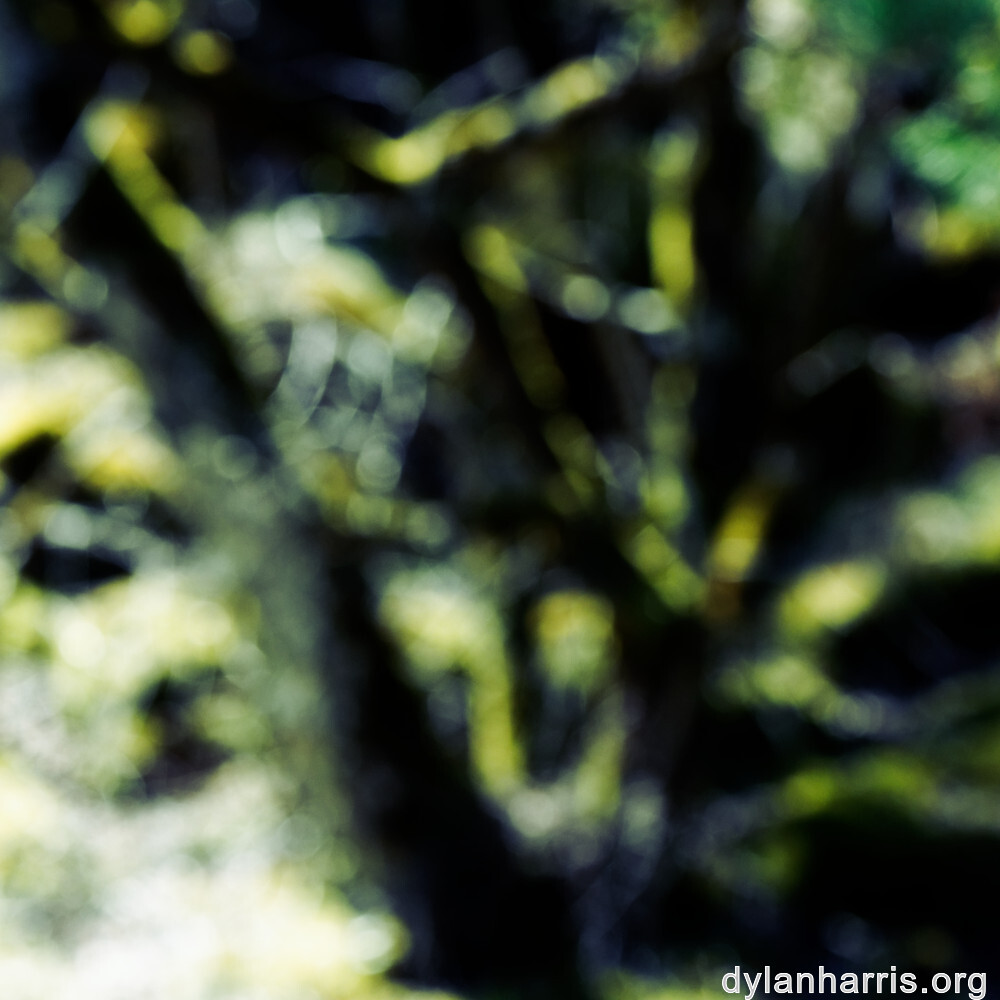 image: This is ‘
schëfflenger bierg (iii) 7
’.