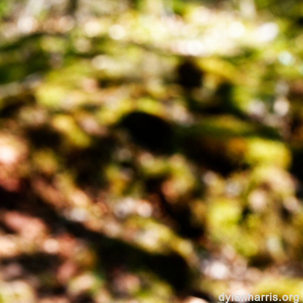 image: This is ‘
schëfflenger bierg (iii) 8
’.