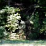 image: Image from the photoset ‘
schëfflenger bierg (iii)
’.