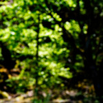 image: Image from the photoset ‘
schëfflenger bierg (iii)
’.