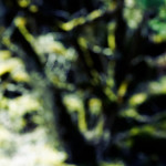 image: Image from the photoset ‘
schëfflenger bierg (iii)
’.