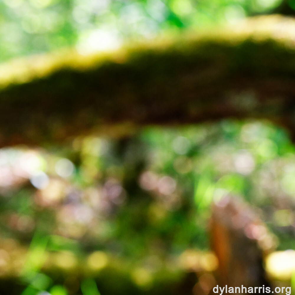 image: This is ‘
schëfflenger bierg (iv) 1
’.