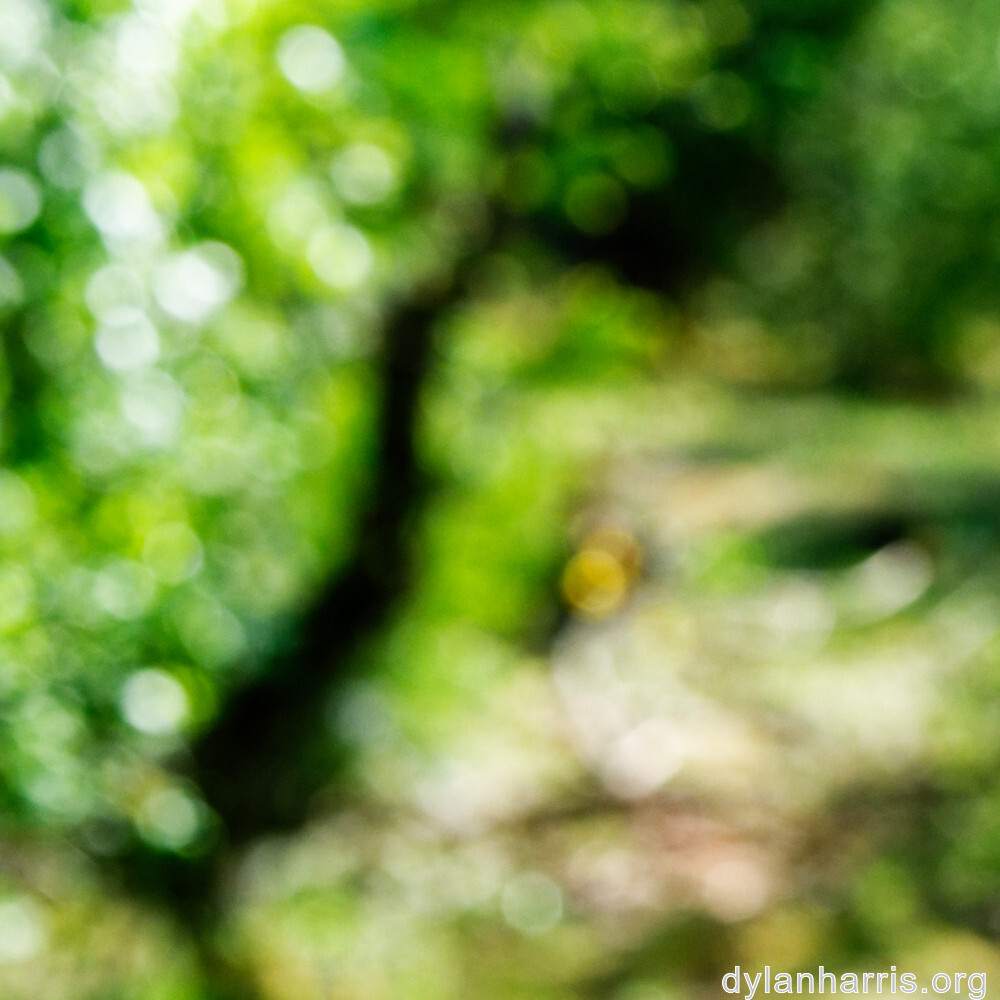 image: This is ‘
schëfflenger bierg (iv) 2
’.