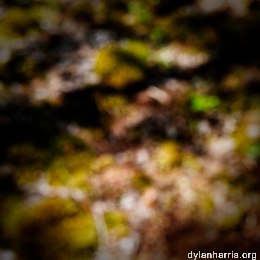 image: This is ‘
schëfflenger bierg (iv) 7
’.