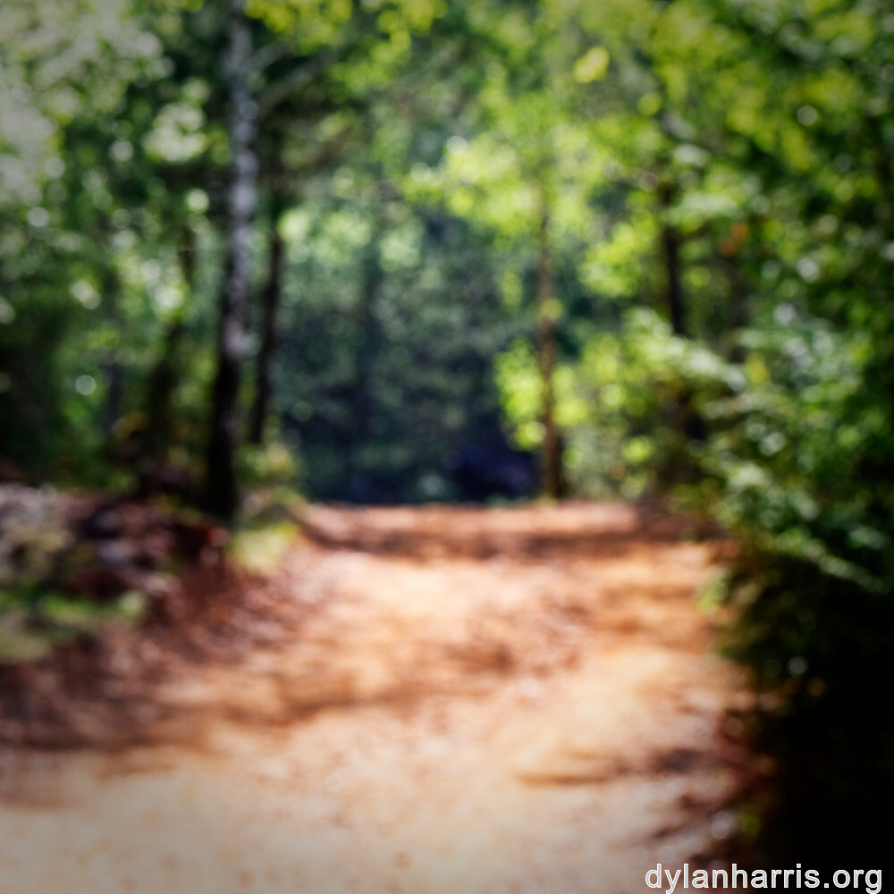 image: This is ‘
schëfflenger bierg (iv) 8
’.