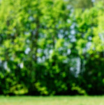 image: Image from the photoset ‘
schëfflenger bierg (iv)
’.