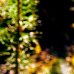 image: Image from the photoset ‘
schëfflenger bierg (iv)
’.