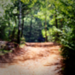 image: Image from the photoset ‘
schëfflenger bierg (iv)
’.