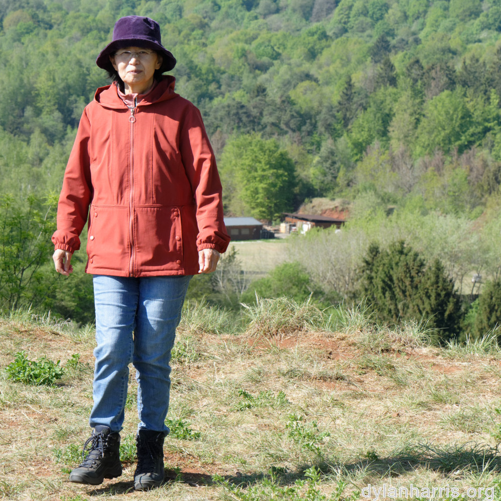 image: This is ‘
L (xxviii) 5
’.