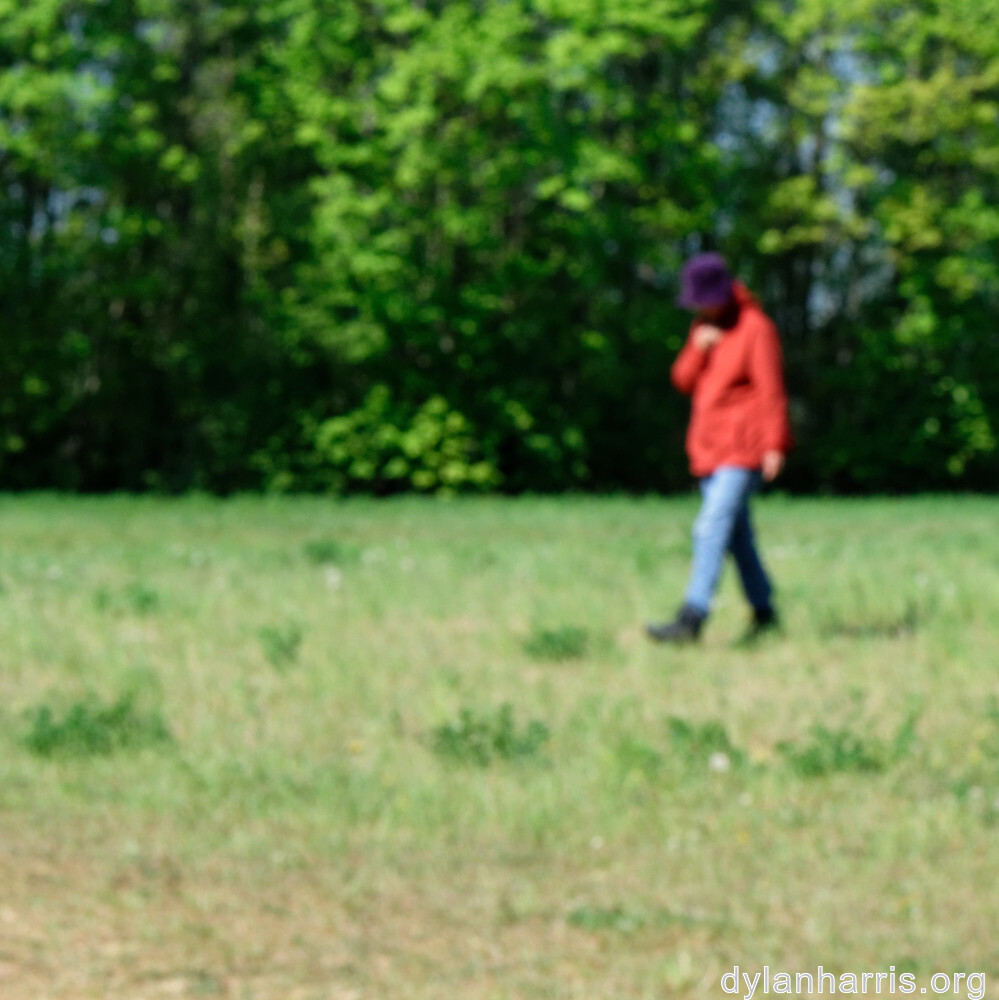 image: This is ‘
L (xxviii) 8
’.