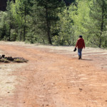 image: Image from the photoset ‘
L (xxviii)
’.