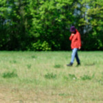 image: Image from the photoset ‘
L (xxviii)
’.