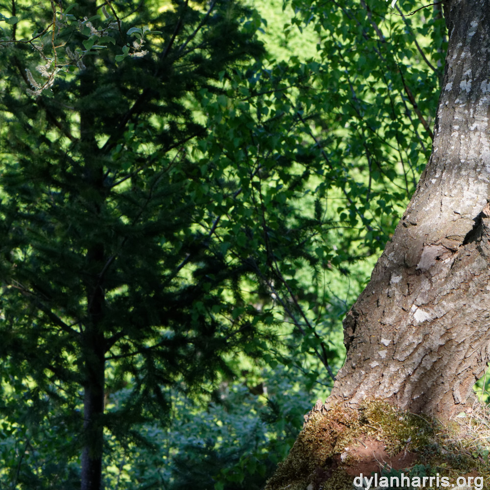 image: This is ‘
schëfflenger bierg (v) 4
’.