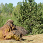 image: Image from the photoset ‘
schëfflenger bierg (v)
’.