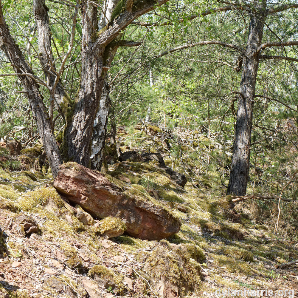 image: This is ‘
schëfflenger bierg (vi) 3
’.