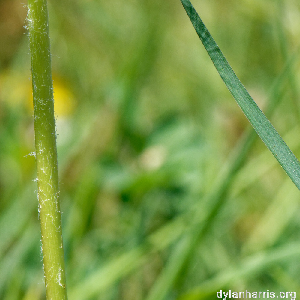 image: This is ‘
schëfflenger bierg (vi) 6
’.