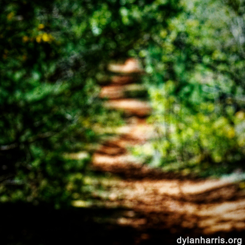 image: This is ‘
schëfflenger bierg (vii) 7
’.