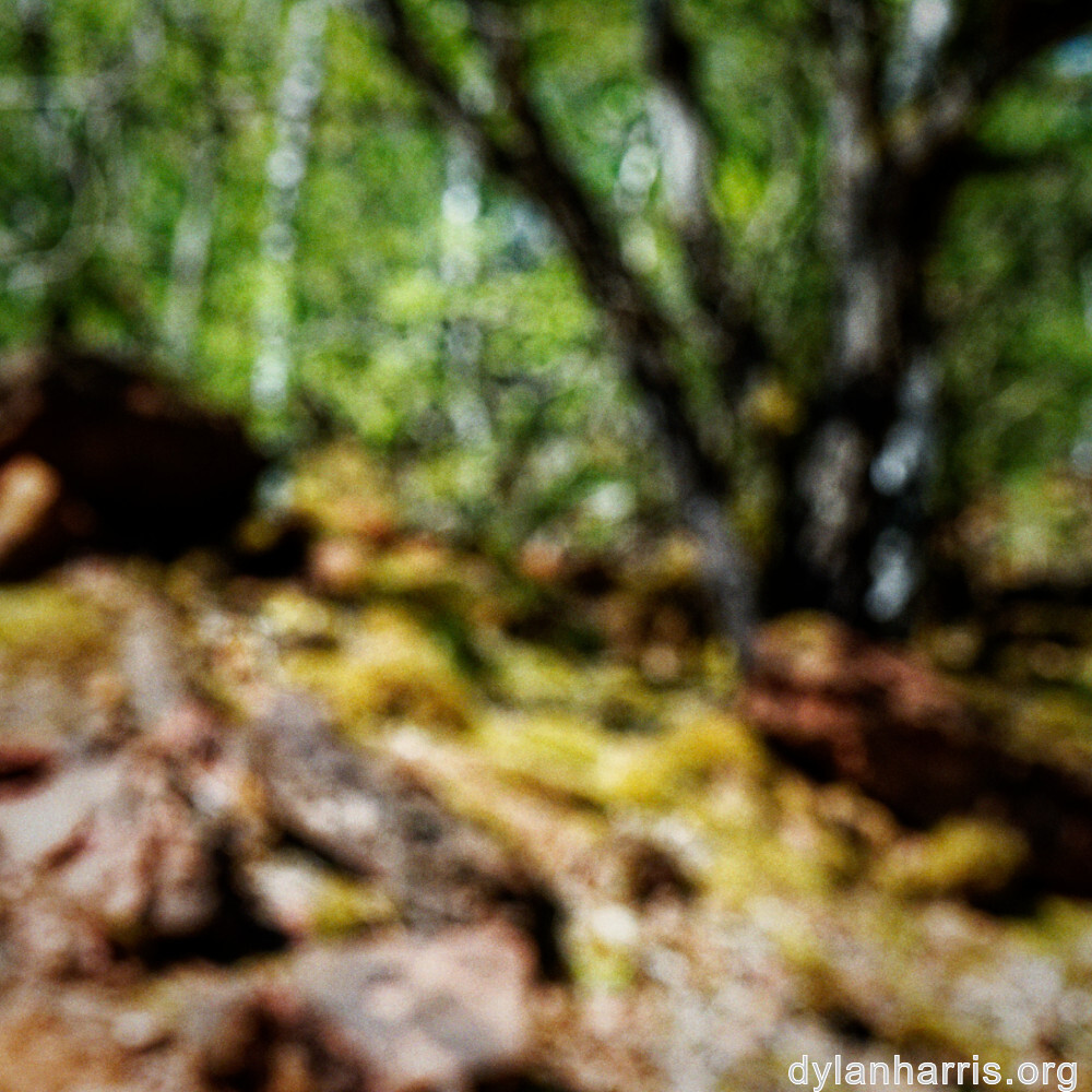 image: This is ‘
schëfflenger bierg (vii) 8
’.