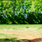 image: Image from the photoset ‘
schëfflenger bierg (vii)
’.