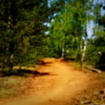 image: Image from the photoset ‘
schëfflenger bierg (vii)
’.