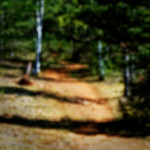 image: Image from the photoset ‘
schëfflenger bierg (vii)
’.