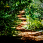 image: Image from the photoset ‘
schëfflenger bierg (vii)
’.