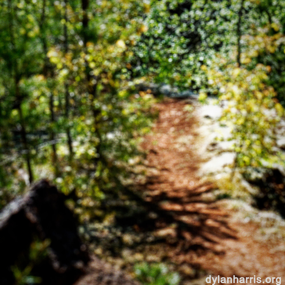 image: This is ‘
schëfflenger bierg (viii) 1
’.