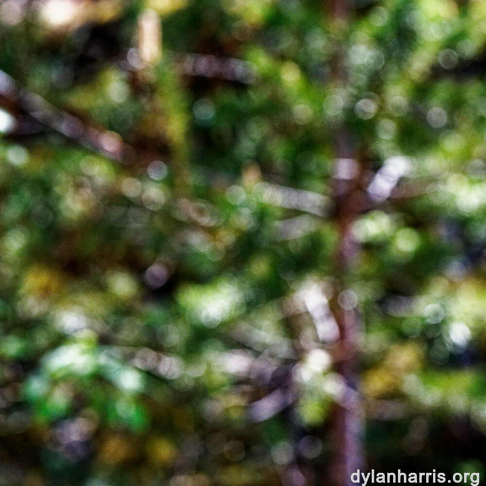 image: This is ‘
schëfflenger bierg (viii) 2
’.