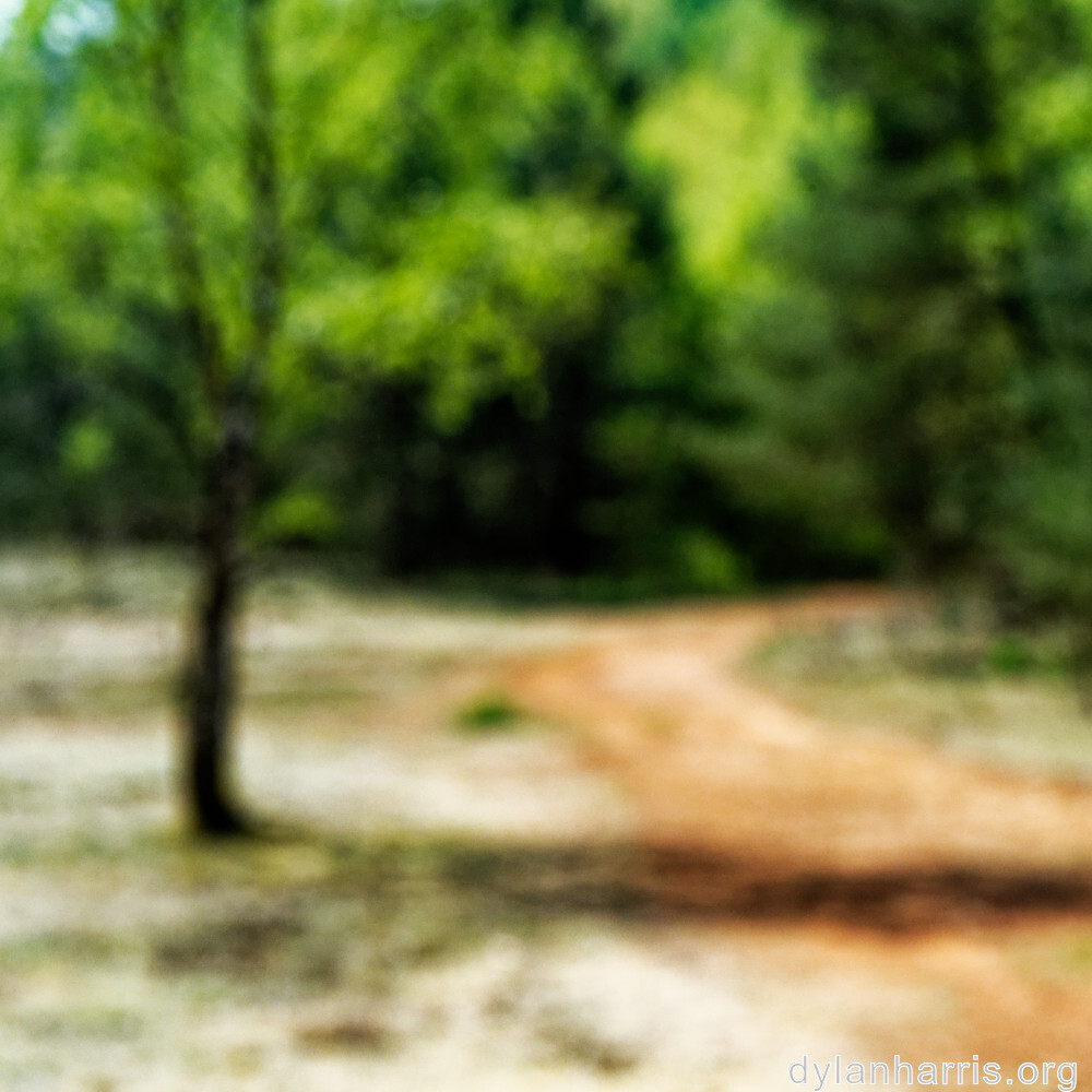 image: This is ‘
schëfflenger bierg (viii) 3
’.