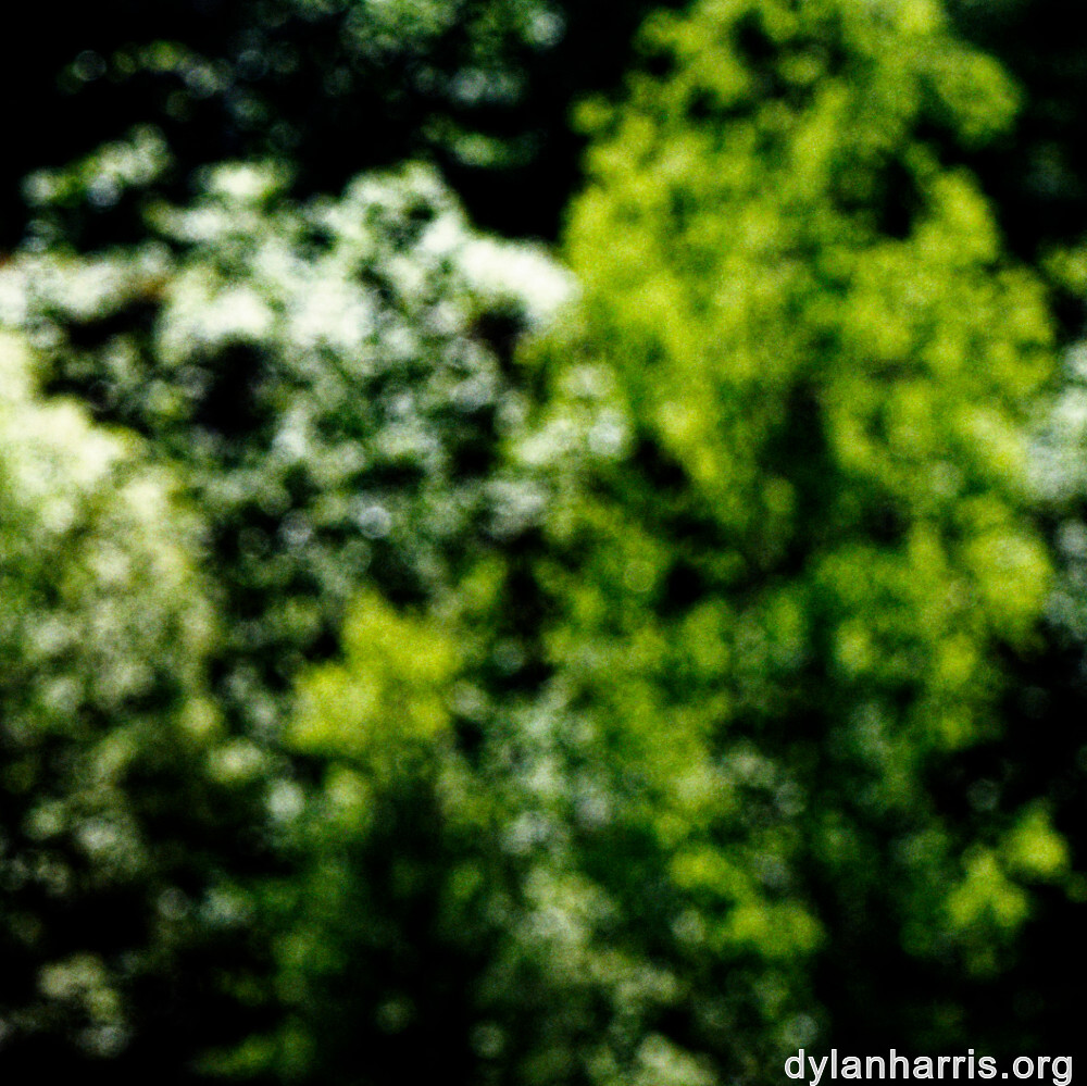 image: This is ‘
schëfflenger bierg (viii) 4
’.