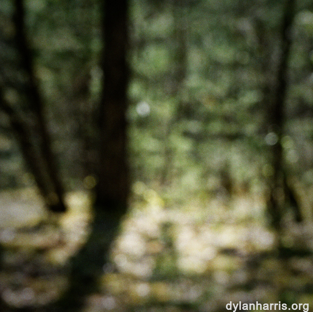 image: This is ‘
schëfflenger bierg (viii) 6
’.