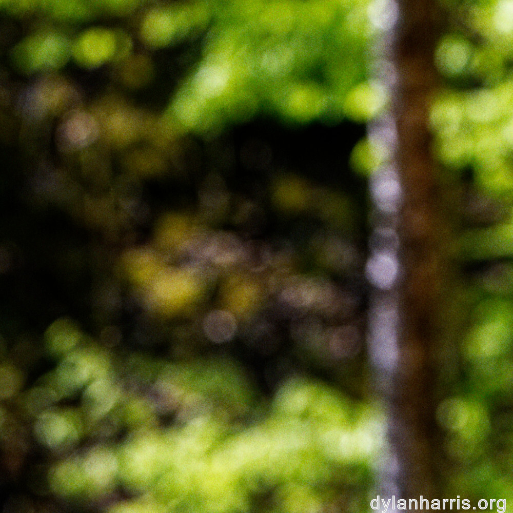 image: This is ‘
schëfflenger bierg (viii) 8
’.