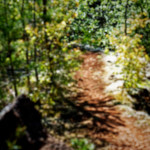 image: Image from the photoset ‘
schëfflenger bierg (viii)
’.