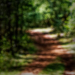 image: Image from the photoset ‘
schëfflenger bierg (viii)
’.