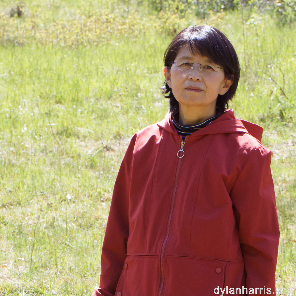 image: This is ‘
L (xxix) 1
’.