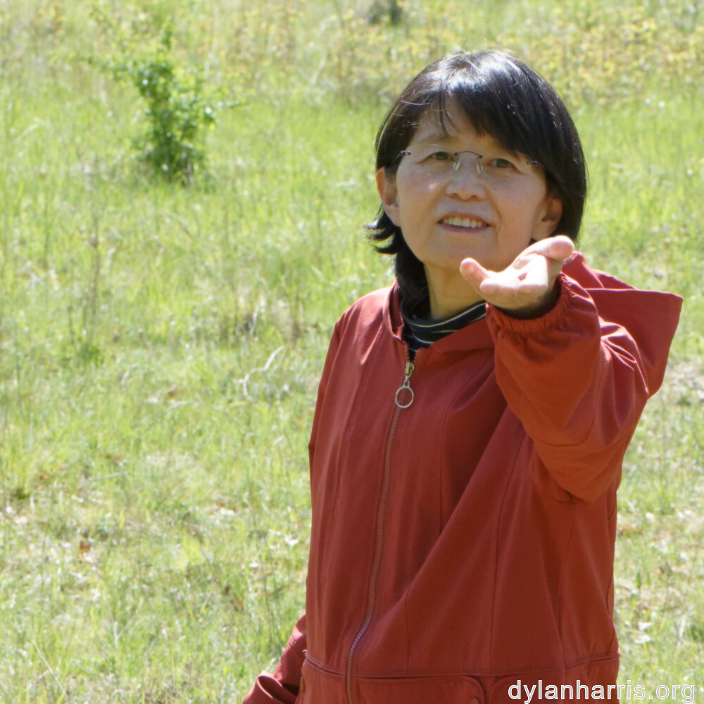 image: This is ‘
L (xxix) 3
’.