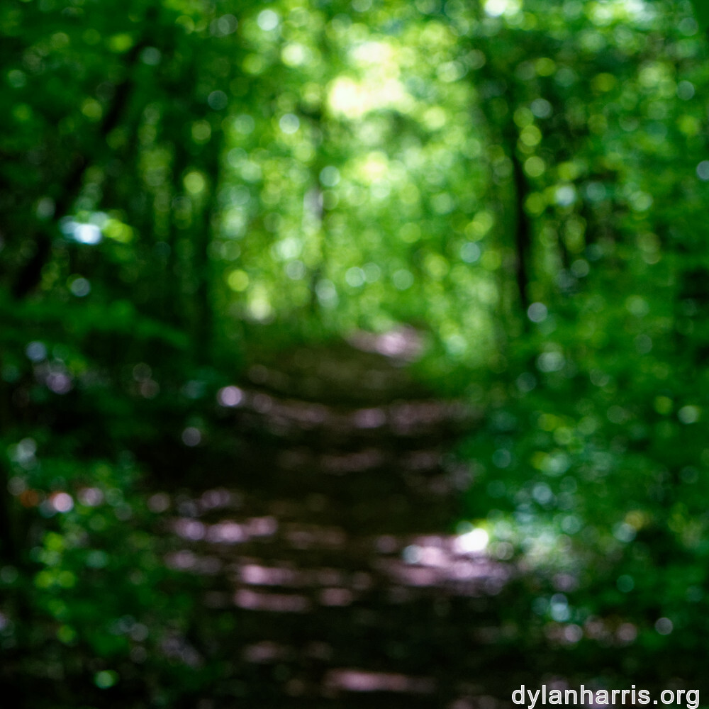 image: This is ‘
schëfflenger bierg (ix) 4
’.