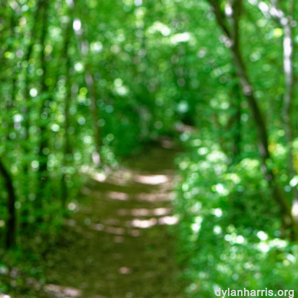 image: This is ‘
schëfflenger bierg (ix) 5
’.