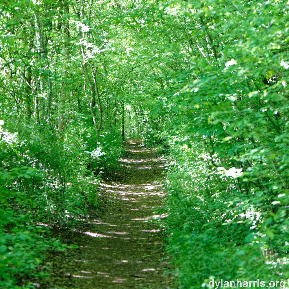 image: This is ‘
schëfflenger bierg (ix) 6
’.