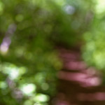 image: Image from the photoset ‘
schëfflenger bierg (ix)
’.