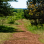 image: Image from the photoset ‘
schëfflenger bierg (ix)
’.