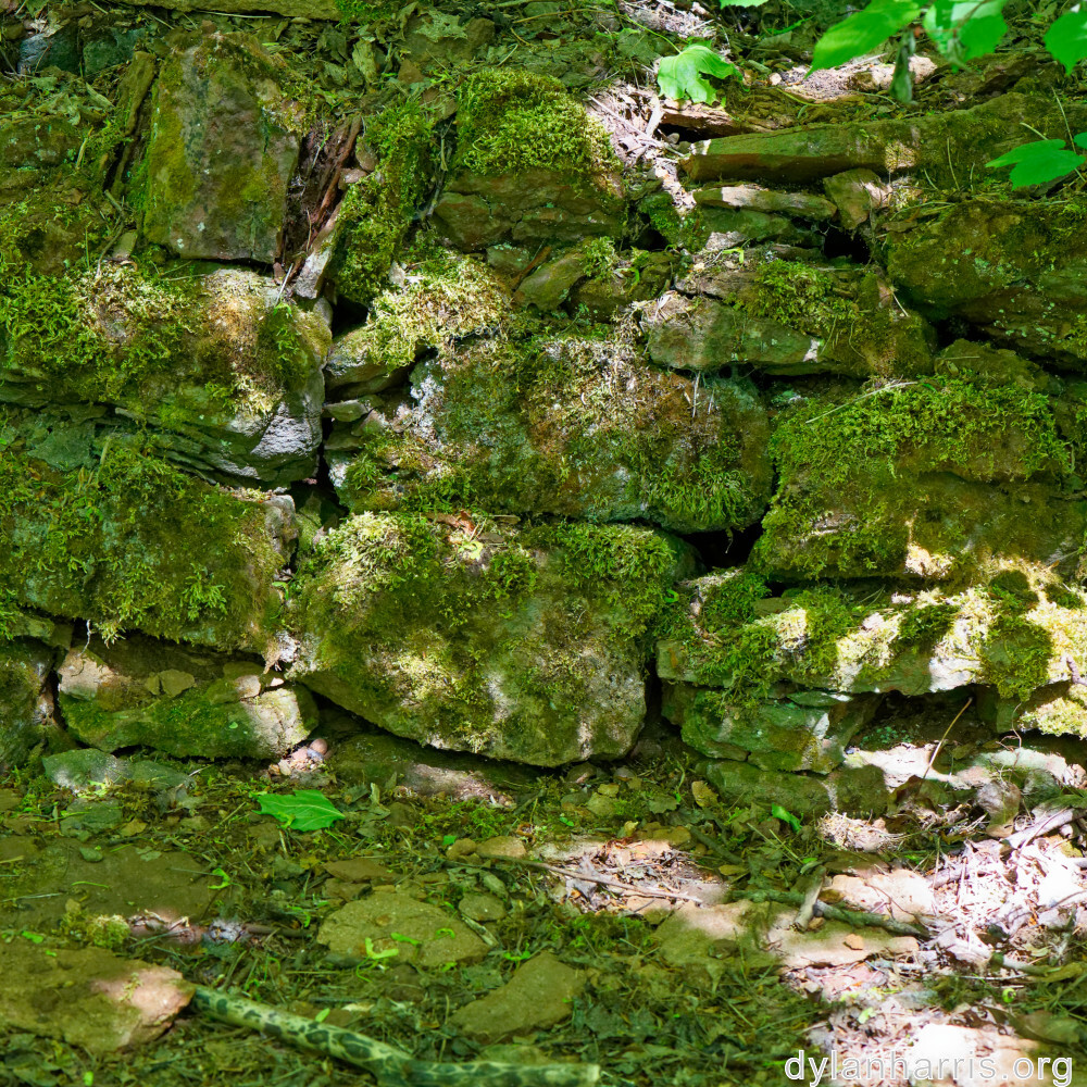 image: This is ‘
terres rouges (xvii) 1
’.